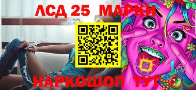 крисы Брянск