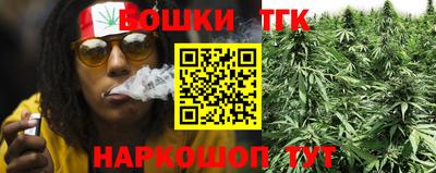 крисы Брянск