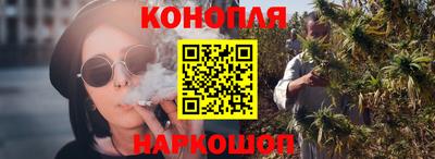 крисы Брянск