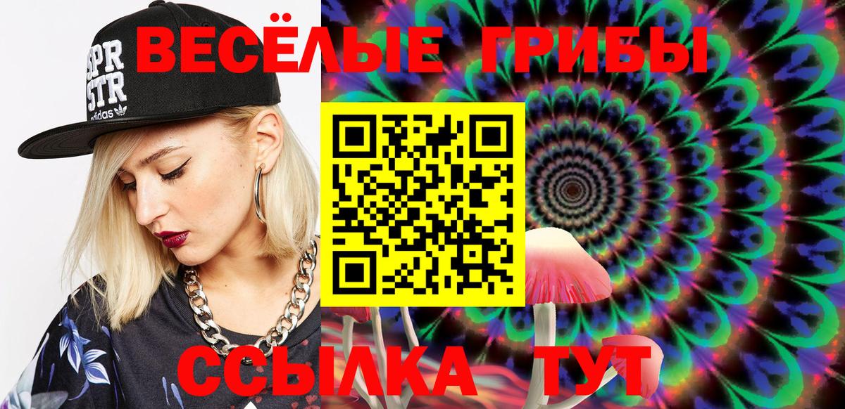 Галлюциногенные грибы MAGIC MUSHROOMS  закладки  Белая Калитва  Вход с VPN 