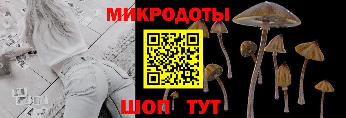Галлюциногенные грибы Cubensis Белая Калитва